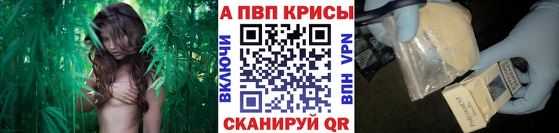 Alfa_PVP VHQ  Электрогорск 
