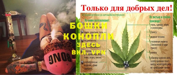 спиды Богородск