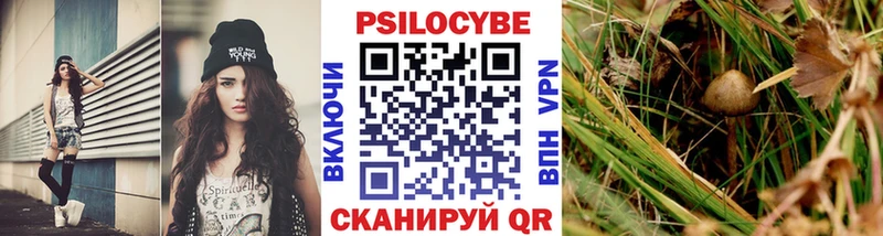 Псилоцибиновые грибы GOLDEN TEACHER  Электрогорск 